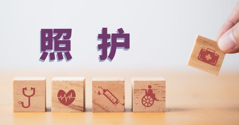 照护