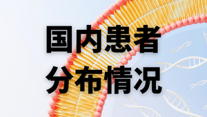 国内患者分布情况